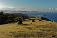 Tasmania - Maria Island o8278